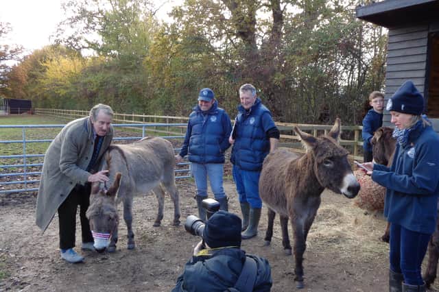 Hayling Island Donkey Sanctuary's open days are this weekend.