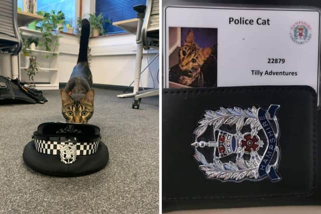 Gosport police officers shared a tribute to Tilly the Bengal cat on Facebook.