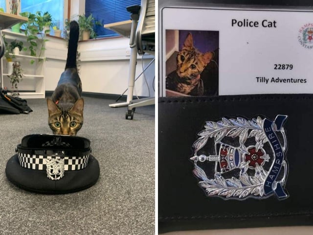 Gosport police officers shared a tribute to Tilly the Bengal cat on Facebook.