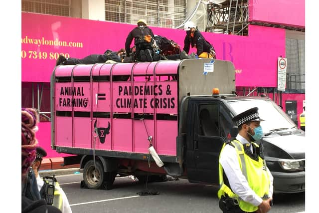 The XR protest in London. Picture: XR Southsea