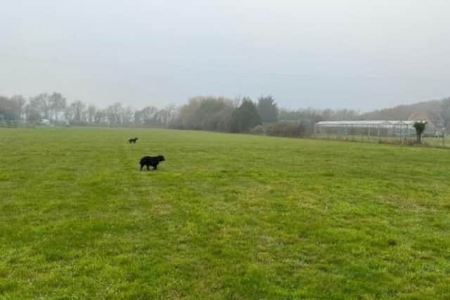 Plans for a dog park have been approved in Titchfield