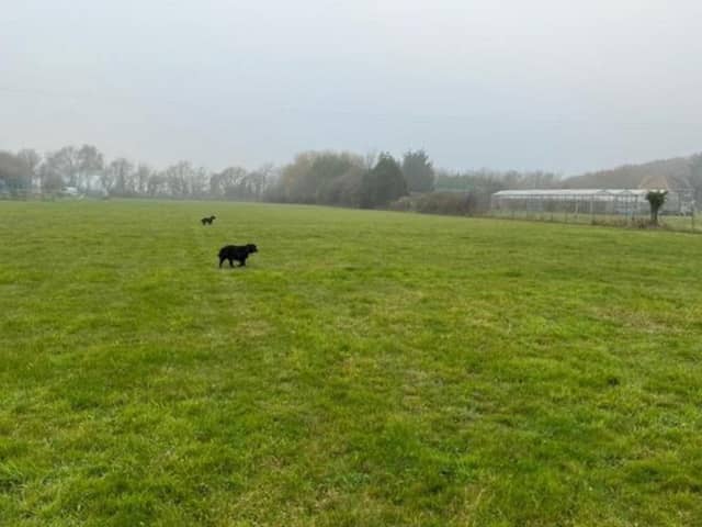 Plans for a dog park have been approved in Titchfield
