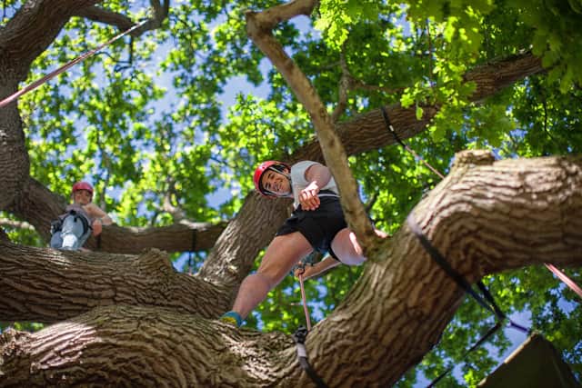 Try tree climbing