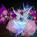 Snow Queens in front of Marwell Hall at Glow Marwell