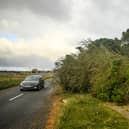 The aftermath of Storm Arwen  Picture: Peter Summers/Getty Images