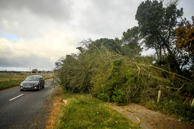 The aftermath of Storm Arwen  Picture: Peter Summers/Getty Images