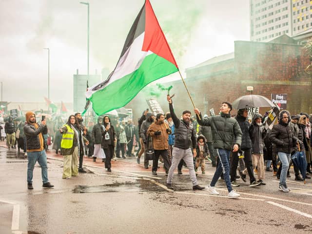 Pictured: People at the march for Palestine on Sunday, December 3 
Picture: Habibur Rahman