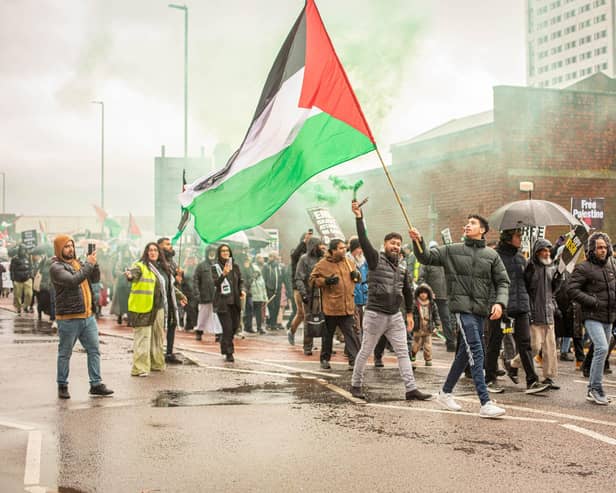 Pictured: People at the march for Palestine on Sunday, December 3 
Picture: Habibur Rahman