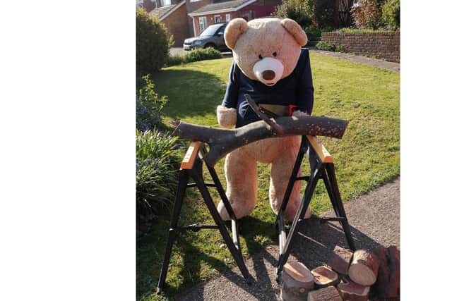 Big Ted has been making himself useful around the house. Picture: Nicki Smith