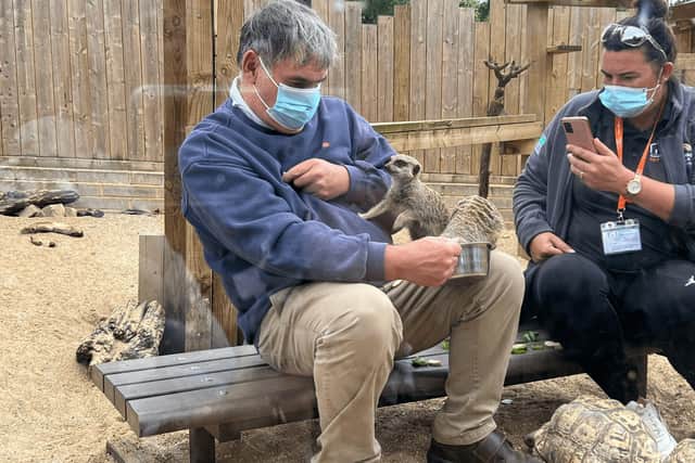 Tony Edge, 67, of Drayton, Portsmouth with the meerkats at Tilgate Nature Centre in Crawley.