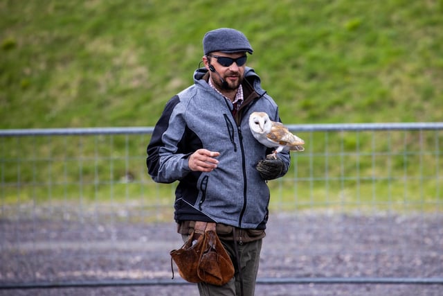 Families braved the cold on Tuesday (April 2) to take advantage of amazing free entertainment at Fort Nelson, with Easter egg hunts and falconry displays.
