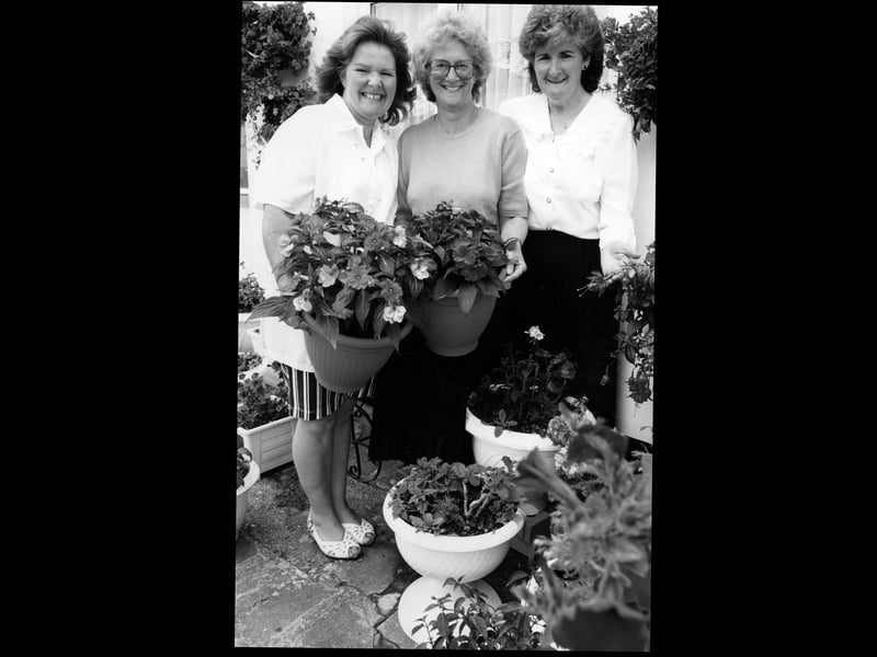 Kay Clarke, Margaret Poulter and Liz Marriot in Gosport for the Best Bloomin Street, 1993. The News PP5514