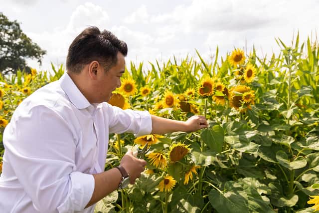 Alan Mak MP at Sam's Sunflowers on Hayling Island