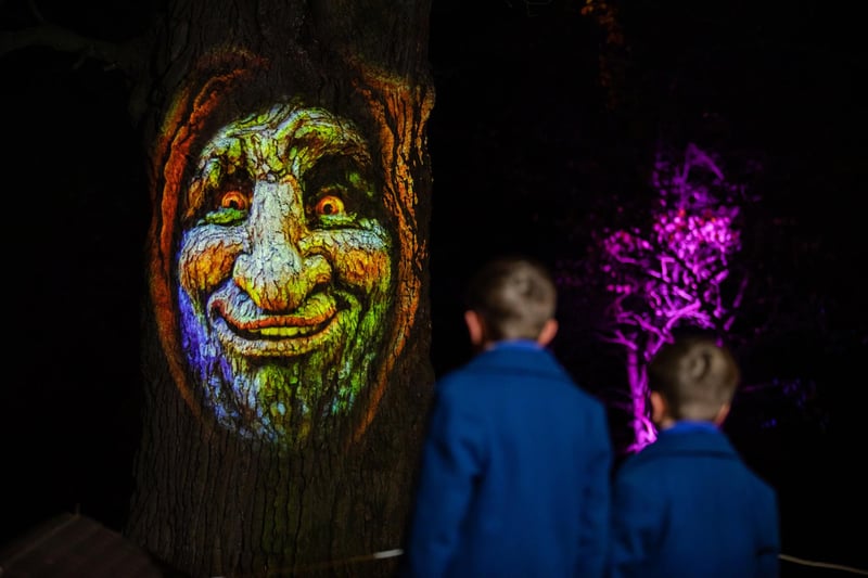 The talking tree which greets guests at the Enlightened Staunton event