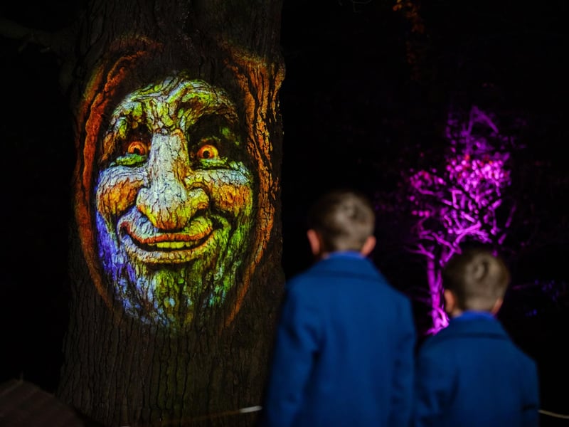 The talking tree which greets guests at the Enlightened Staunton event