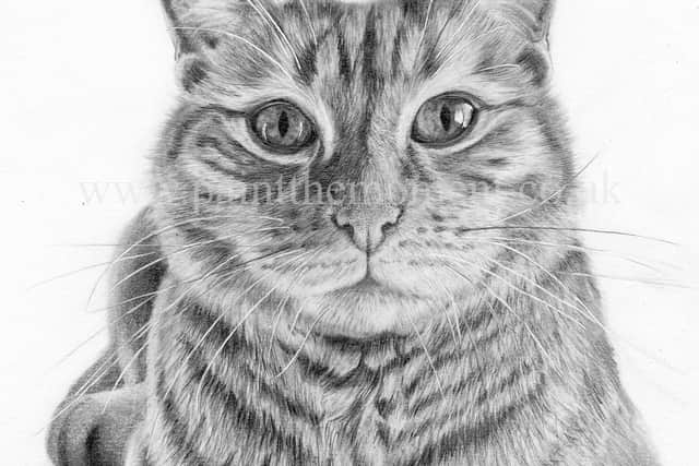 Portchester-based pet portrait artist Chloe Bruce who runs Pet Portraits - Paint the Moment is donating a prize for a charity pet-themed bake off challenge