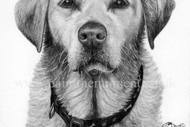 Portchester-based pet portrait artist Chloe Bruce who runs Pet Portraits - Paint the Moment is donating a prize for a charity pet-themed bake off challenge