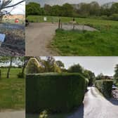 Here are some beautiful dog parks and agility courses.