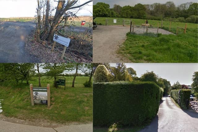 Here are some beautiful dog parks and agility courses.