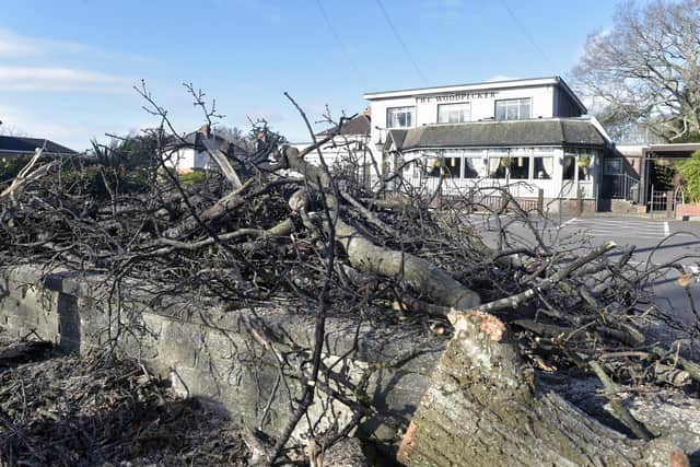 The remains of the fallen tree outside Park Wood Lodge care home on London Road, Waterlooville, on Tuesday, February 28.
Picture: Sarah Standing
