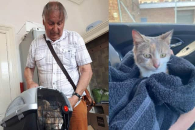 Bubble reunited with owners after a year when she escaped from her basket in Portsmouth.