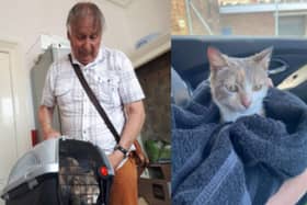 Bubble reunited with owners after a year when she escaped from her basket in Portsmouth.