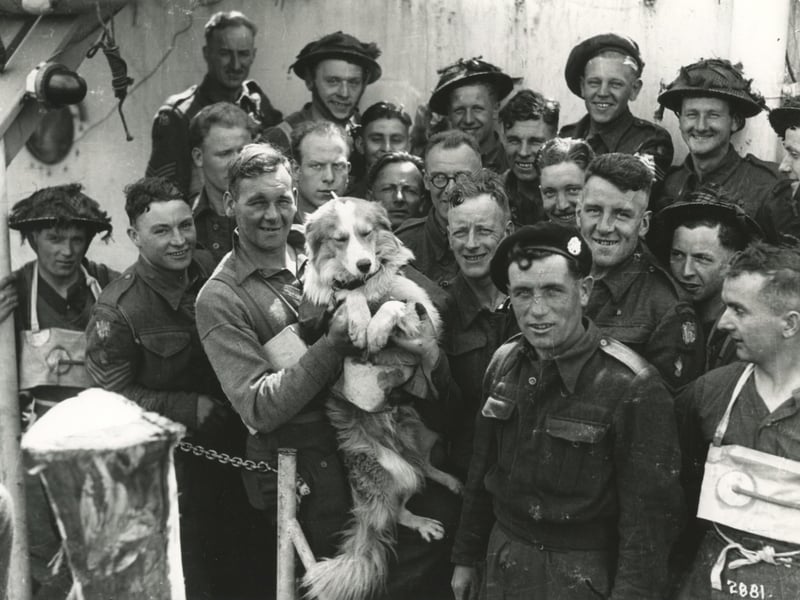 Royal Engineers and their dog mascot Sandy.(c) The News, War Series 2881