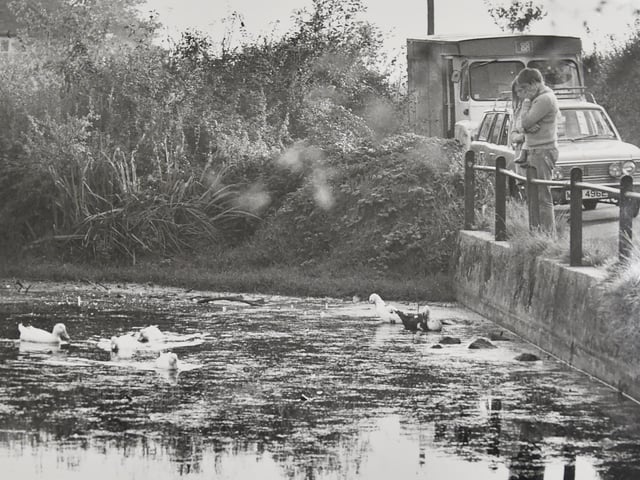 Denmead in 1973. Picture: (1391-3)