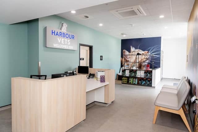 Harbour View Vets has opened a new £1m practice in The Pompey Centre. Picture: James Newell
