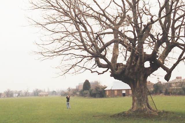 The redundant playing fields of Oak Park School, Havan,t in 1992, several years after the school’s closure. Picture: Bob Hind
