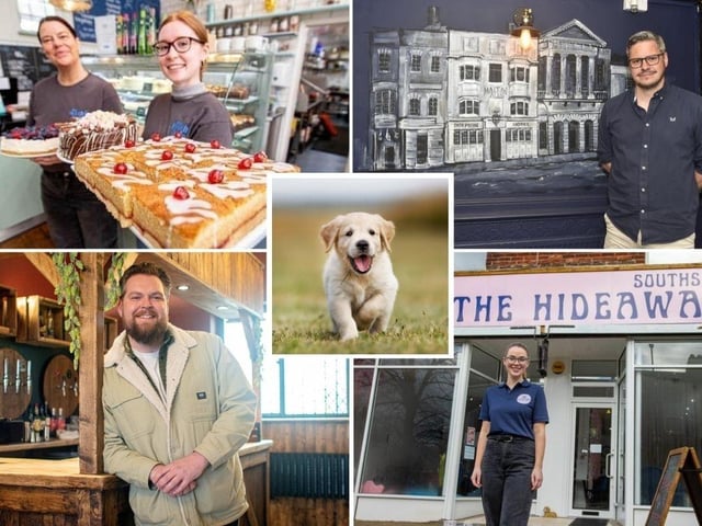 Here are some of the best dog friendly cafes and pub that will make your pup feel like royalty.