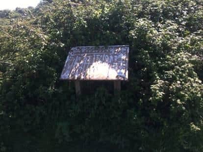 Yobs have vandalised boards with racist remarks. Photo: Hampshire & Isle of Wight Wildlife Trust ​