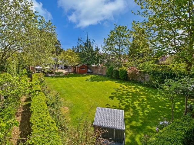 The garden