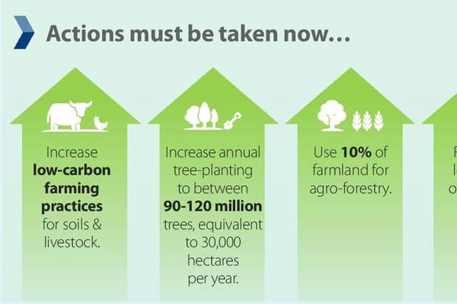 Infographic on greenery from the Climate Change Committee