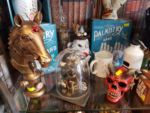 Headcase Curios in Southsea  Picture: Jamie Fensom
May 2023