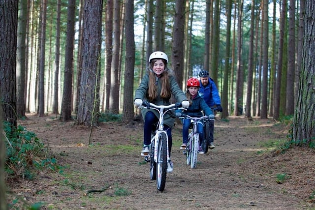 The Ancient Sherwood Cycle Route offers a day out cycling with family or friends through woodland. It starts at the Sherwood Forest Art and Craft Centre in Edwinstowe and takes you through Sherwood Forest and on to Clumber Park. If you choose to do the whole circular route, it spans 20 miles, but the terrain is mainly flat and there are lots of stop-offs for refreshments along the way.