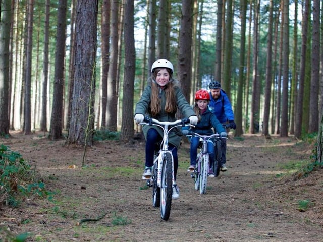 The Ancient Sherwood Cycle Route offers a day out cycling with family or friends through woodland. It starts at the Sherwood Forest Art and Craft Centre in Edwinstowe and takes you through Sherwood Forest and on to Clumber Park. If you choose to do the whole circular route, it spans 20 miles, but the terrain is mainly flat and there are lots of stop-offs for refreshments along the way.