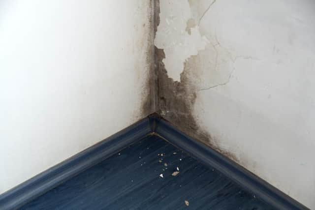 The figures for the amount of money Portsmouth City Council have spent on repairing damp and mould has been revealed. Picture: Anna - stock.adobe.com.