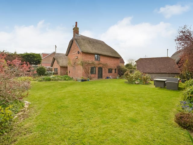 The back garden