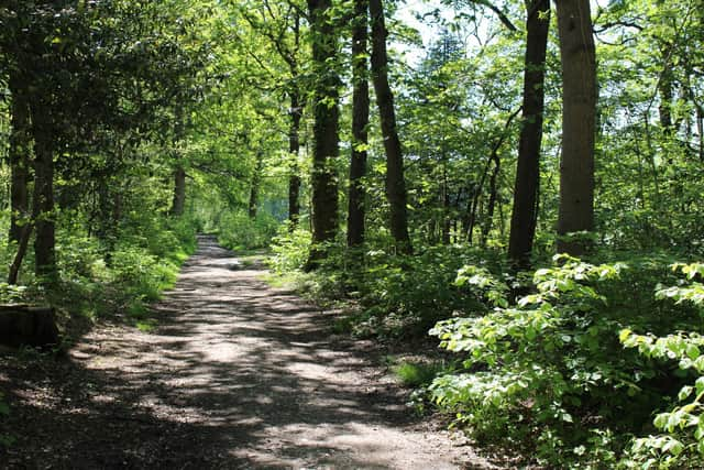 Havant Thicket, where work is taking place to create a new reservoir.
Picture: Emily Turner