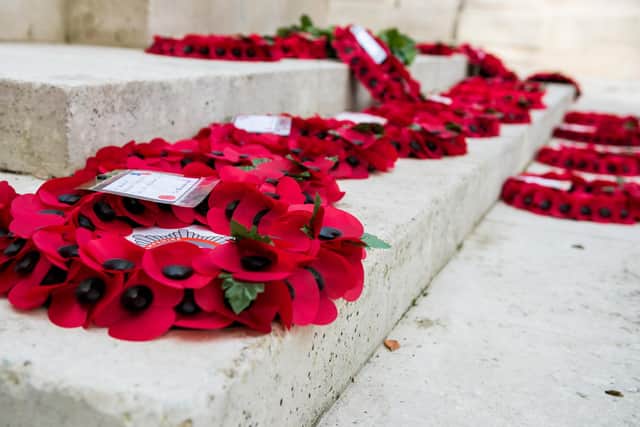 Portsmouth residents urged to mark Remembrance Sunday at home. Picture by Vernon Nash
