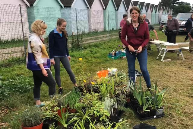 Volunteers are 're-wilding' a green space near a popular stretch of the Eastney shoreline.