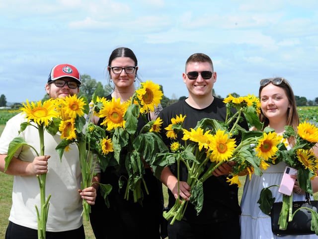 Sam's Sunflowers in Hayling Island, on Sunday, August 4, 2024.
Pictured is: (l-r) Thomas Allan from Slough, Emily Fitchett from Hull, Ryan Rolfe and Georgia Gregson both from Reading.
Picture: Sarah Standing (040824-3920)