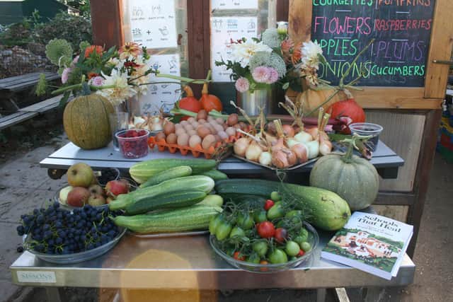 Some of Redwood Park garden's produce