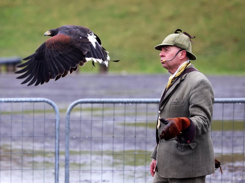 Pictured is action from the event.
Picture: Sam Stephenson.