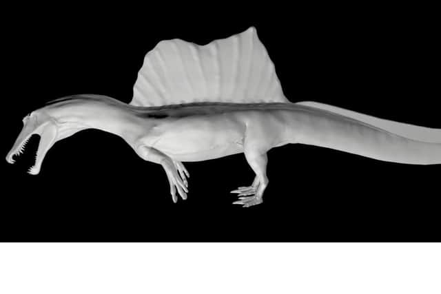 Reconstruction of Spinosaurus