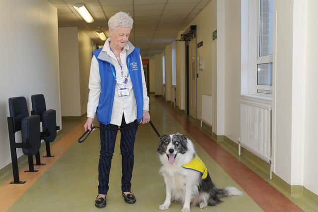 Frankie North with Clara the therapy dog in QA hospital, Portsmouth.
Picture: Habibur Rahman