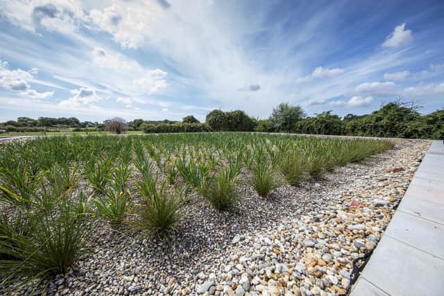 Southern Water wants your views on £1.5bn plan. Picture – supplied.
