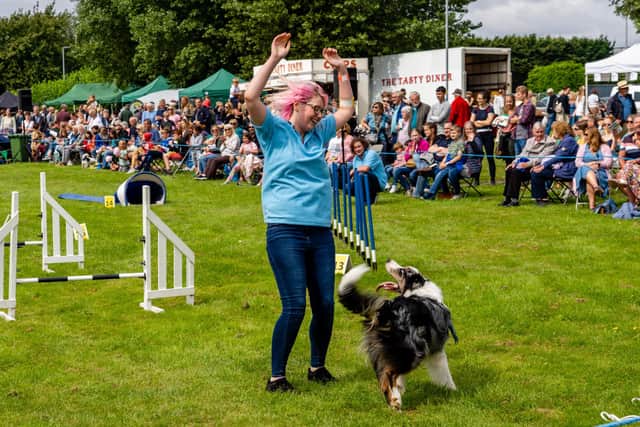 The Homestead Dog Agility Show at the Emsworth Show. Picture: Matthew Clark