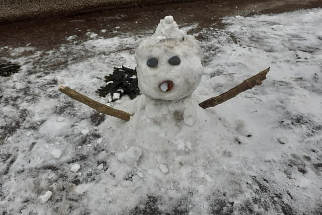 Another miniature snowman which was spotted near Blue Reef Aquarium. Picture: Daniel Thomson